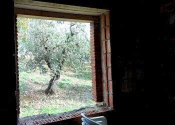 villa montecchio (10).jpg - Villa Via Pagliericci 15, Montecchio - foto 15