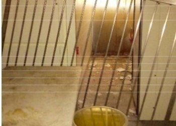 6.jpg - Locale Commerciale all'asta Via Battista Trucco R, Campomorone - foto 6