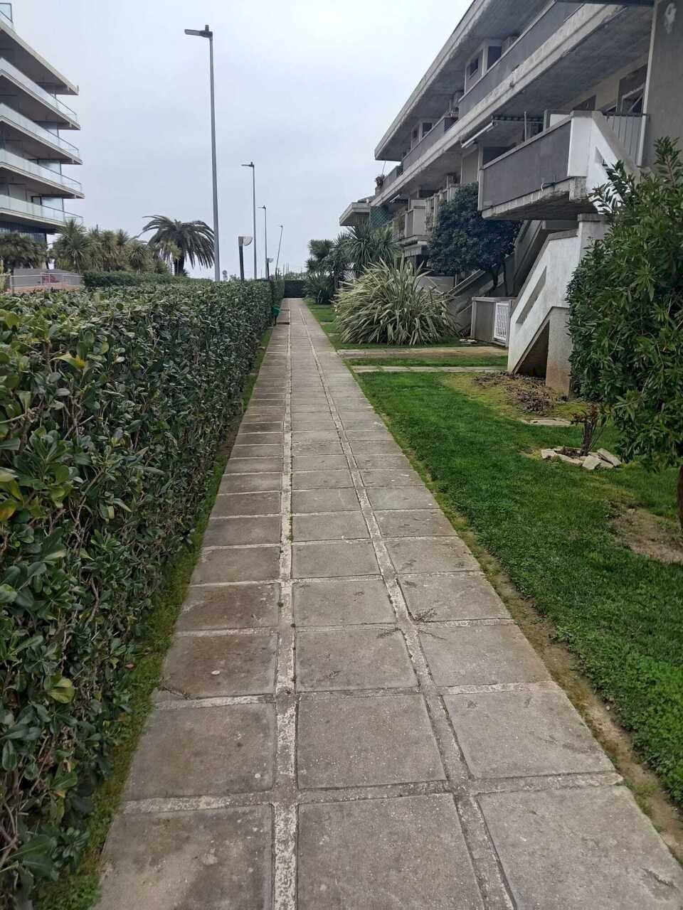 IMG-20260228-WA0015.jpg - Three-room apartment Via Leonardo Da Vinci, hamlet Silvi Marina, Silvi - photo 2