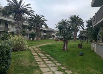 IMG-20260228-WA0014.jpg - Appartamento Via Leonardo Da Vinci, frazione Silvi Marina, Silvi - foto 1