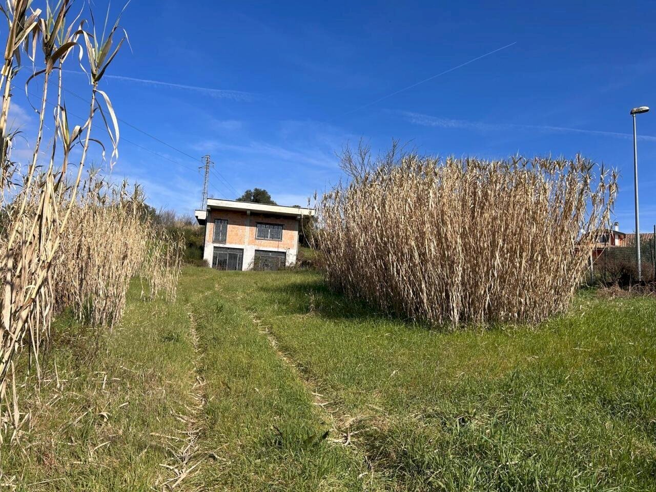 WhatsApp Image 2026-02-25 at 09.58.32.jpeg - Villa via Osteria nuova, Sant'Angelo Romano - foto 2