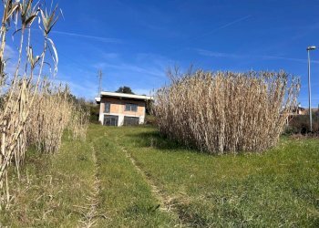 WhatsApp Image 2026-02-25 at 09.58.32.jpeg - Villa via Osteria nuova, Sant'Angelo Romano - photo 2