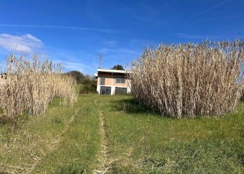 WhatsApp Image 2026-02-25 at 09.58.33 (1).jpeg - Villa via Osteria nuova, Sant'Angelo Romano - photo 9