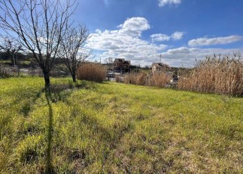 WhatsApp Image 2026-02-25 at 09.58.37.jpeg - Villa via Osteria nuova, Sant'Angelo Romano - photo 25