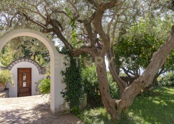 villa capri-anacapri larizza - Villa Strada Faro di Carena 80, Anacapri - foto 6