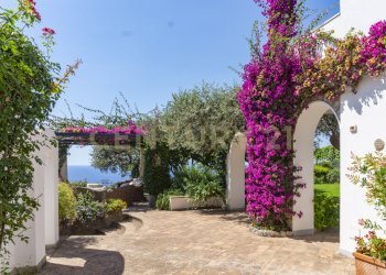 villa capri-anacapri larizza - Villa Strada Faro di Carena 80, Anacapri - foto 8