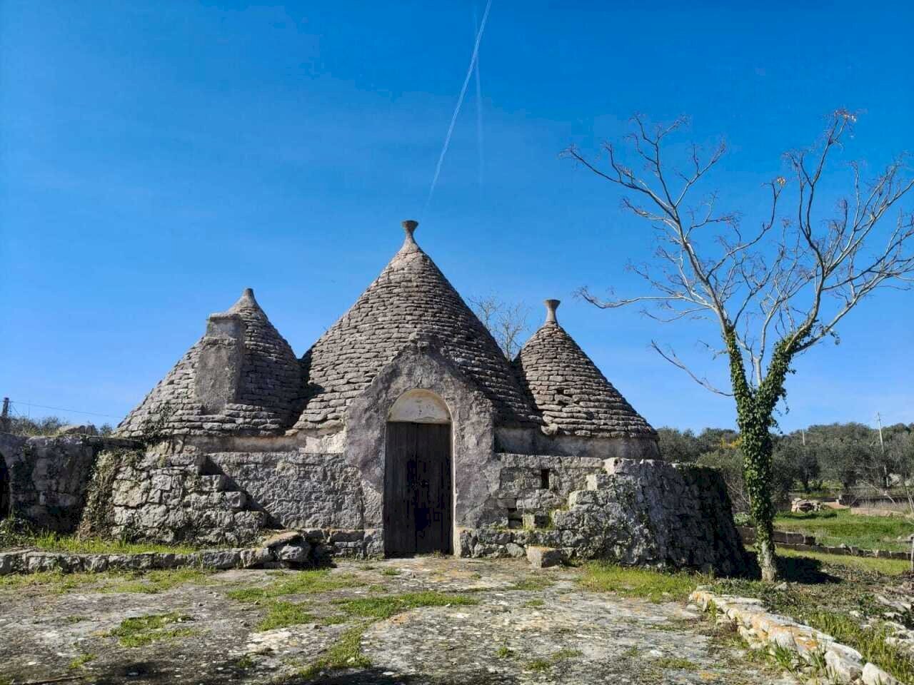 WhatsApp Image 2026-02-24 at 10.36.52 (1).jpeg - Casa indipendente Contrada Pisciacalze, Ceglie Messapica - foto 2