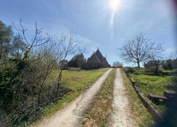 WhatsApp Image 2026-02-24 at 10.36.57.jpeg - Casa indipendente Contrada Pisciacalze, Ceglie Messapica - foto 13