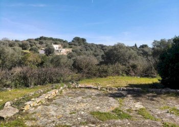 WhatsApp Image 2026-02-24 at 10.36.54.jpeg - Casa indipendente Contrada Pisciacalze, Ceglie Messapica - foto 15