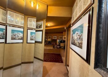 WhatsApp Image 2026-02-17 at 16.37.39.jpeg - Appartamento Via Salaria 126, Roma - foto 14