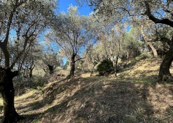 0a33d814-c0dd-4fbc-884a-1b091cfdc421.jpg - Agricultural land Via Giuseppe Garibaldi 51, Lerici - photo 1