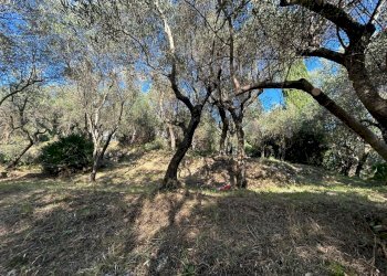 4ca20fa5-966d-415c-9304-b835a6a1bb21.jpg - Agricultural land Via Giuseppe Garibaldi 51, Lerici - photo 3