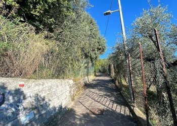 7bb93e64-a360-4795-be30-f91a2323e2fe.jpg - Agricultural land Via Giuseppe Garibaldi 51, Lerici - photo 4