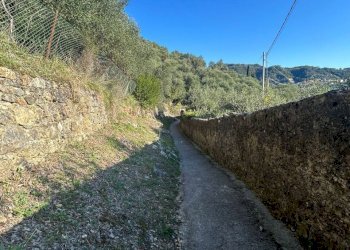 28787b66-4ff2-44d6-9f5d-6f20082a9501.jpg - Agricultural land Via Giuseppe Garibaldi 51, Lerici - photo 7