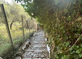 a8882f77-20db-4229-8481-faee114d8d08.jpg - Agricultural land Via Giuseppe Garibaldi 51, Lerici - photo 8