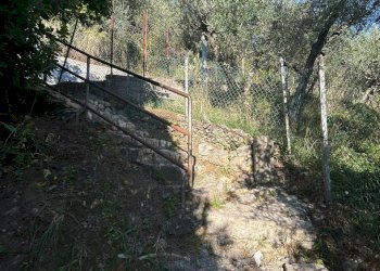 cdf17458-3121-4b60-ab10-3267420b1f35.jpg - Agricultural land Via Giuseppe Garibaldi 51, Lerici - photo 9