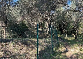 d24d9a1f-0736-4041-8817-f52811632f37.jpg - Agricultural land Via Giuseppe Garibaldi 51, Lerici - photo 11