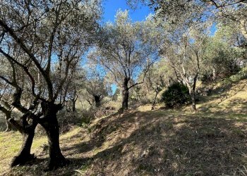 e9320460-7963-483d-9ce0-454af9629417.jpg - Agricultural land Via Giuseppe Garibaldi 51, Lerici - photo 12