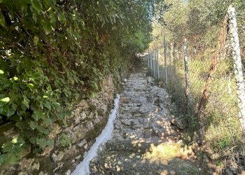 ea1a473c-4cdc-45d9-ab35-b51ab97582de.jpg - Agricultural land Via Giuseppe Garibaldi 51, Lerici - photo 13