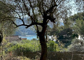 f174016b-5c96-4485-b573-f944414f3b21.jpg - Agricultural land Via Giuseppe Garibaldi 51, Lerici - photo 14