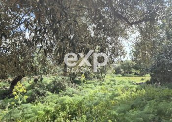 Villa Modica - foto 14