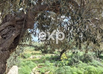 Villa Modica - foto 15