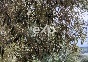 Villa Modica - foto 18