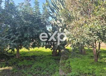 Villa Modica - foto 20