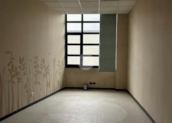 Capannone Via Padova, Beinasco - foto 33