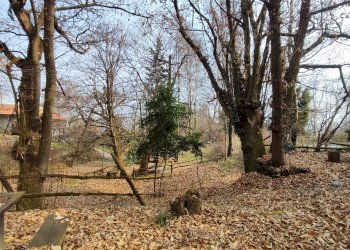 Casa indipendente Via ai Monti, 32, Envie - foto 11