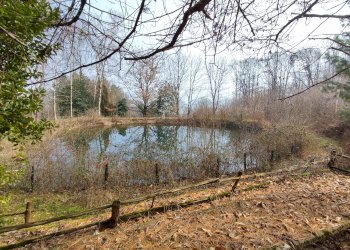 Casa indipendente Via ai Monti, 32, Envie - foto 14