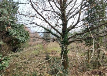 Casa indipendente Via ai Monti, 32, Envie - foto 17