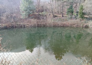 Casa indipendente Via ai Monti, 32, Envie - foto 18