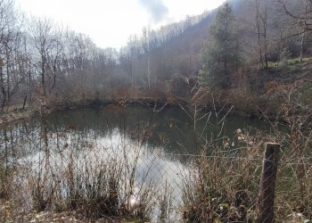 Casa indipendente Via ai Monti, 32, Envie - foto 20