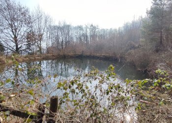 Casa indipendente Via ai Monti, 32, Envie - foto 24