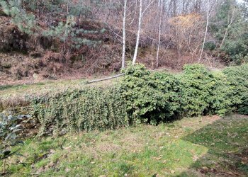 Casa indipendente Via ai Monti, 32, Envie - foto 32