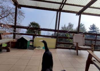 Casa indipendente Via ai Monti, 32, Envie - foto 44