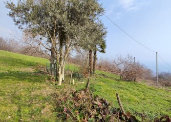 Casa indipendente Via ai Monti, 32, Envie - foto 40