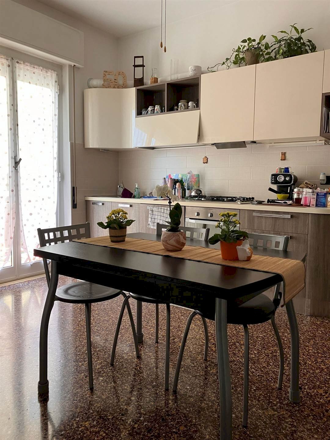 Trilocale Savona - foto 1
