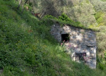 Rustico via Colla, 9-10 
 Paggi, Carasco - foto 9