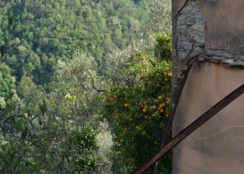 Rustico via Colla, 9-10 
 Paggi, Carasco - foto 13