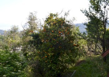 Rustico via Colla, 9-10 
 Paggi, Carasco - foto 14