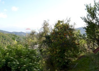 Rustico via Colla, 9-10 
 Paggi, Carasco - foto 15