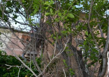 Rustico via Colla, 9-10 
 Paggi, Carasco - foto 18