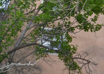 Rustico via Colla, 9-10 
 Paggi, Carasco - foto 20