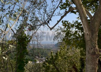 Rustico via Colla, 9-10 
 Paggi, Carasco - foto 23