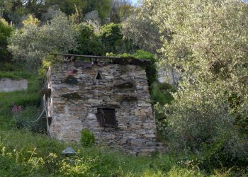 Rustico via Colla, 9-10 
 Paggi, Carasco - foto 28