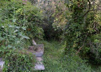 Rustico via Colla, 9-10 
 Paggi, Carasco - foto 30