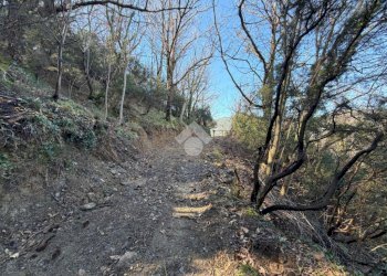 Terreno edificabile Località Castelletto, Moneglia - foto 10
