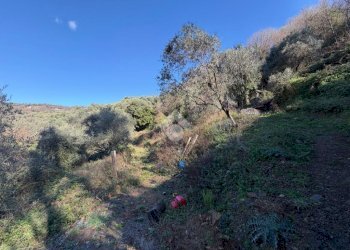 Terreno edificabile Località Castelletto, Moneglia - foto 13